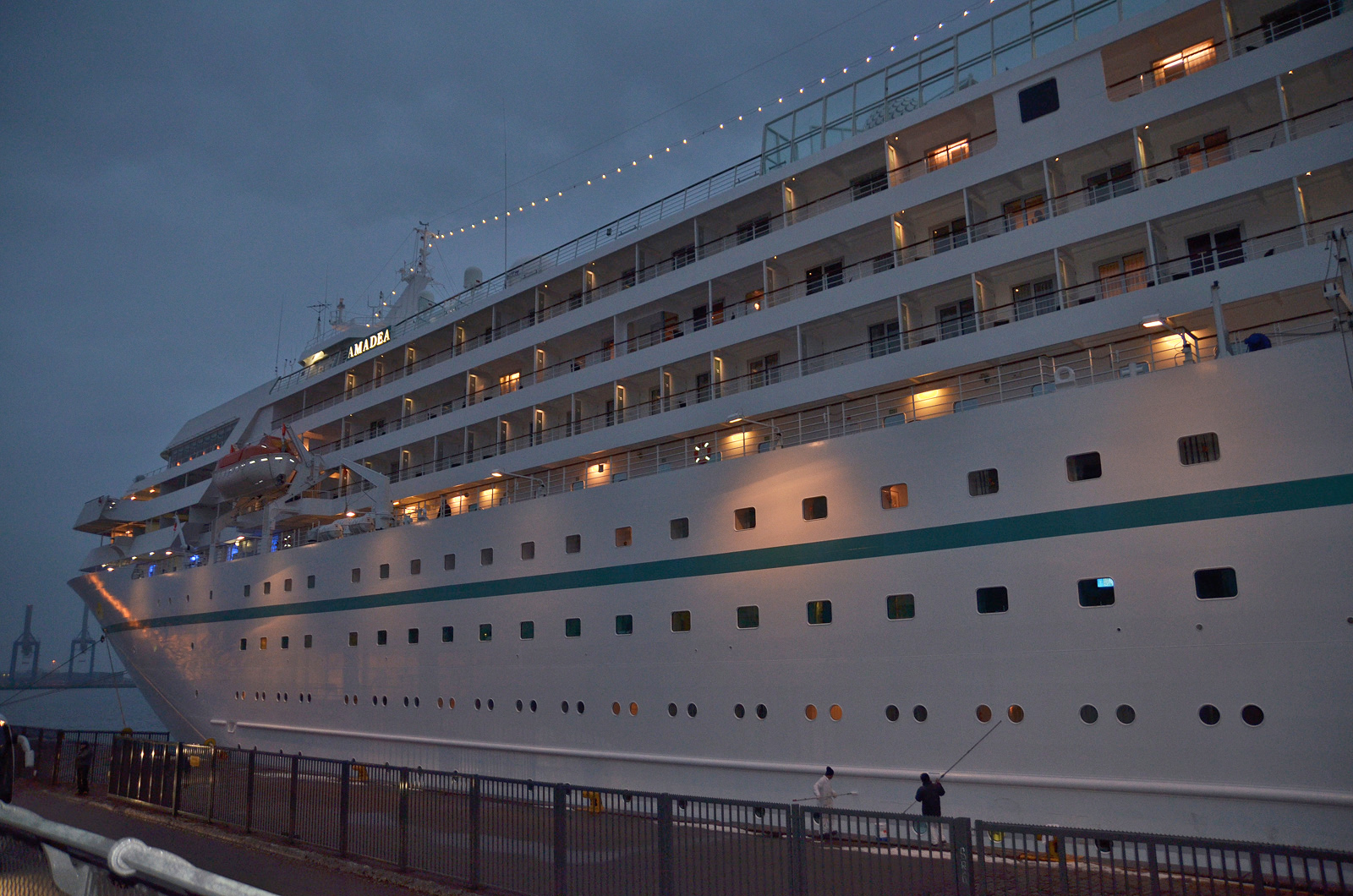 amadea8