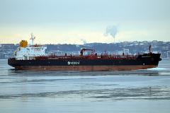 baltic-monarch2