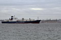 baltic-novator2