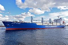 baltic-patriot3