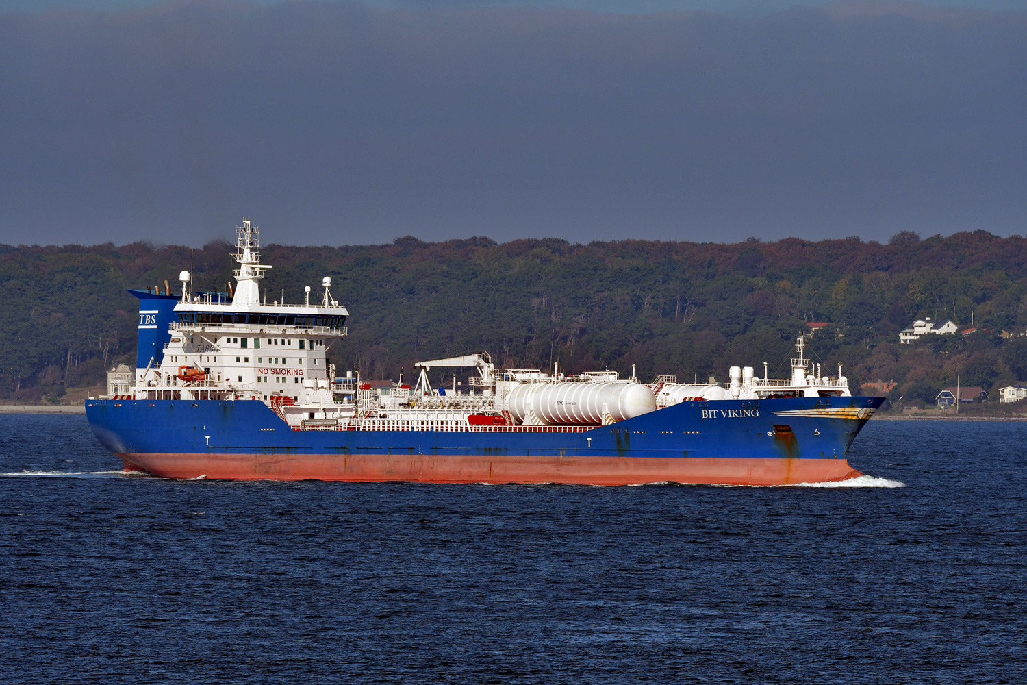 bit-viking1