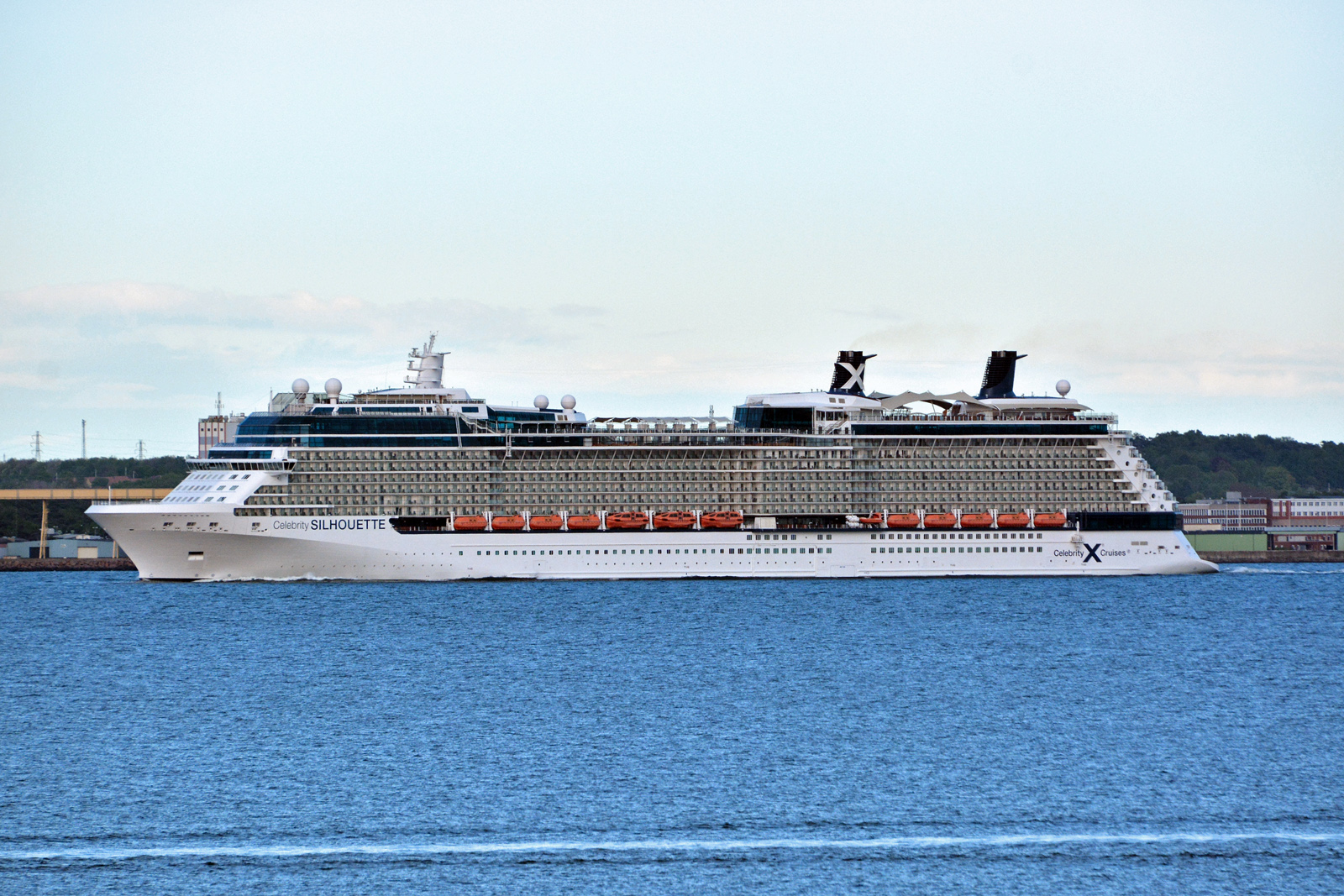 celebrity-silhouette11