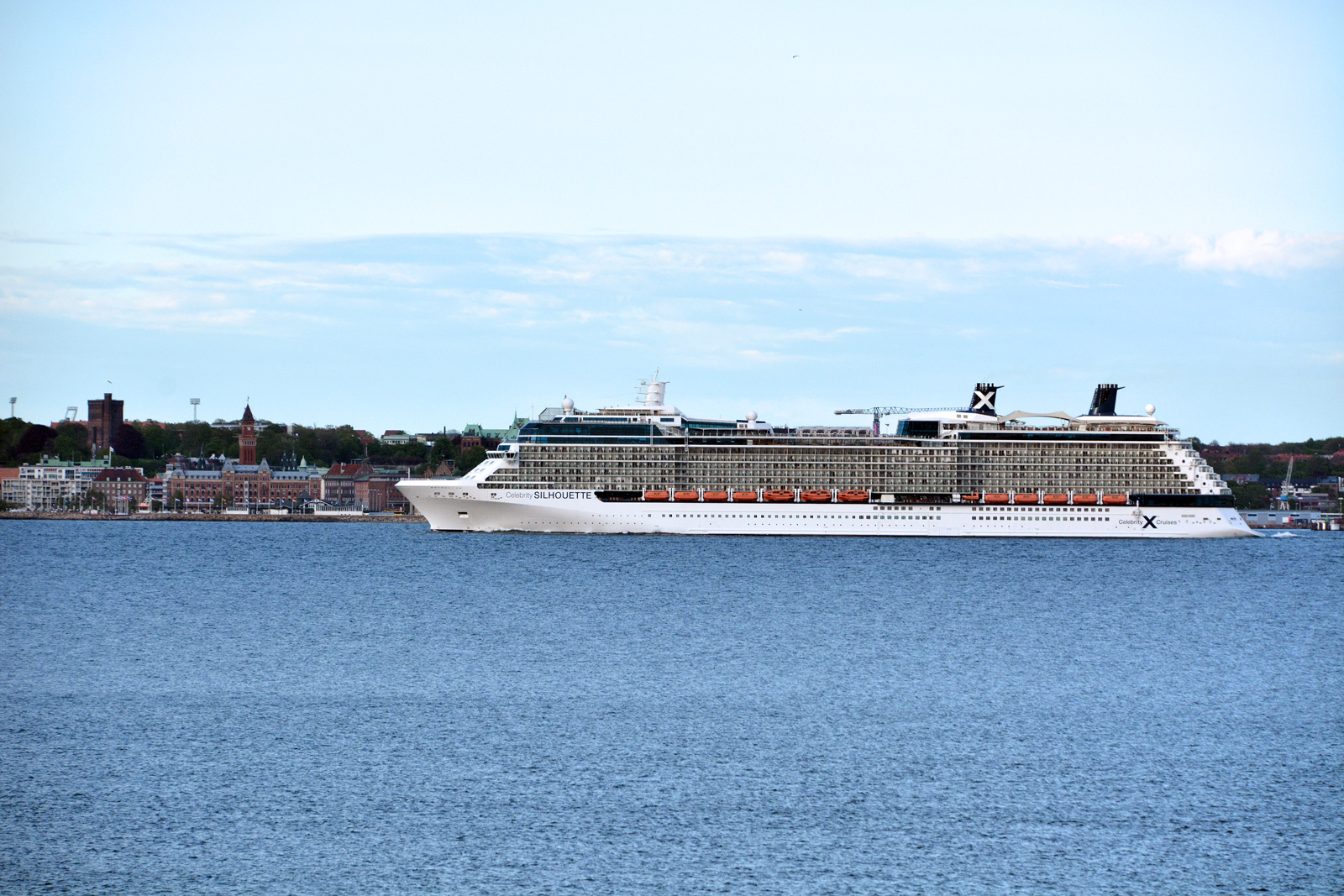 celebrity-silhouette13