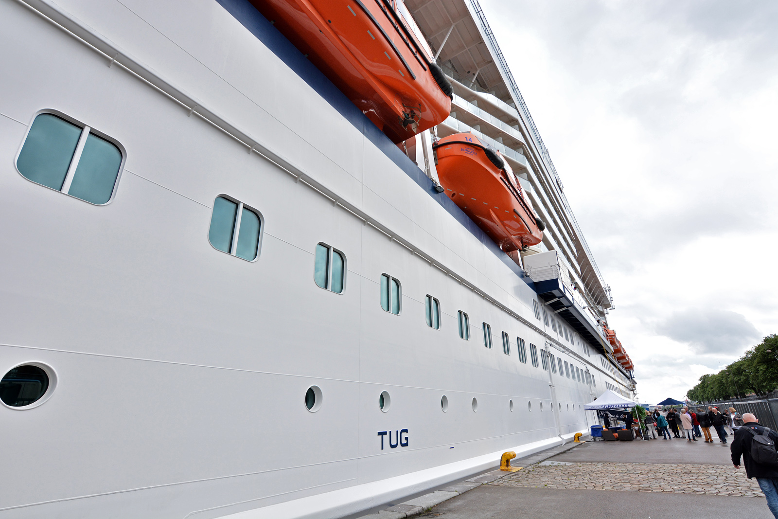 celebrity-silhouette21