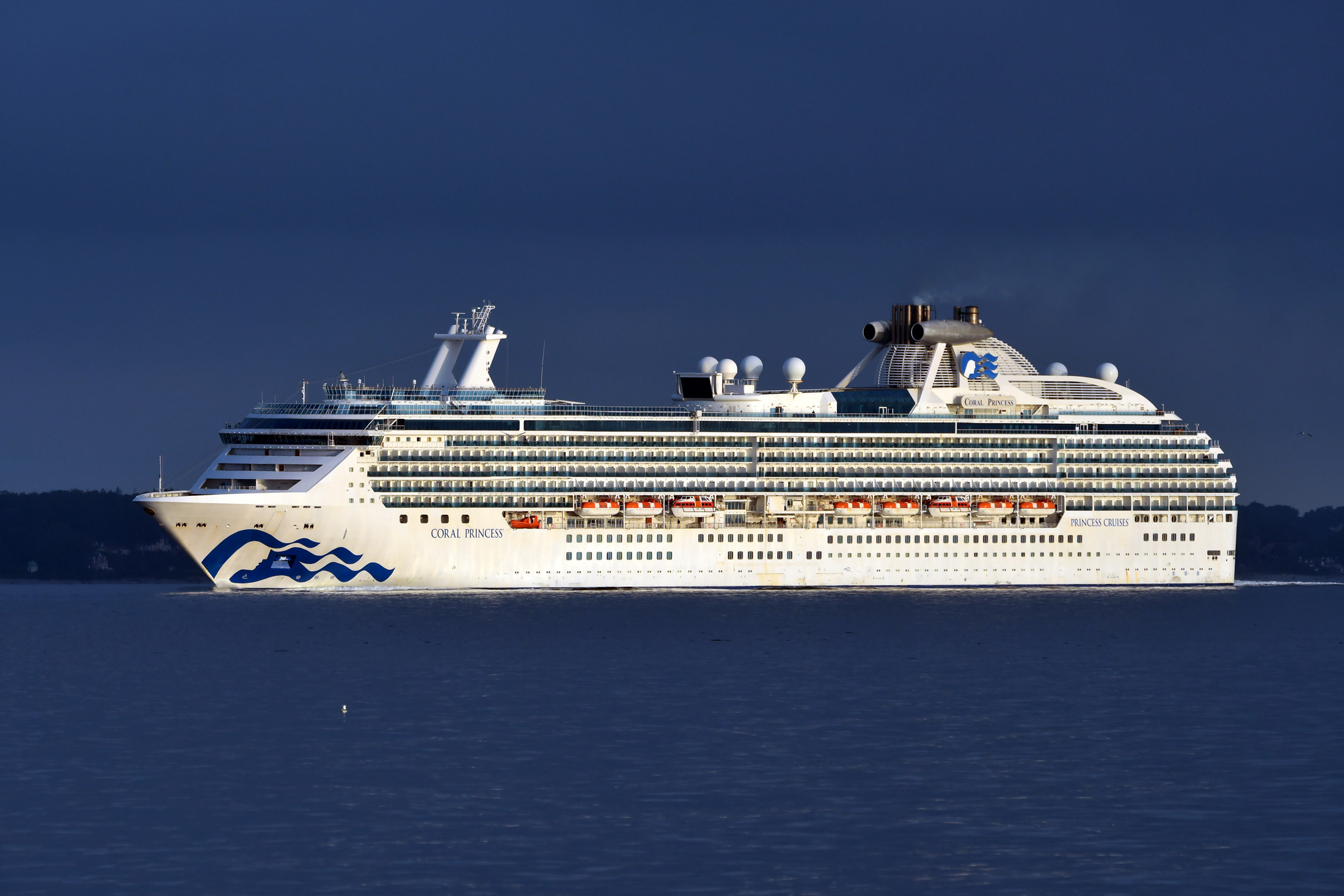 coral-princess3