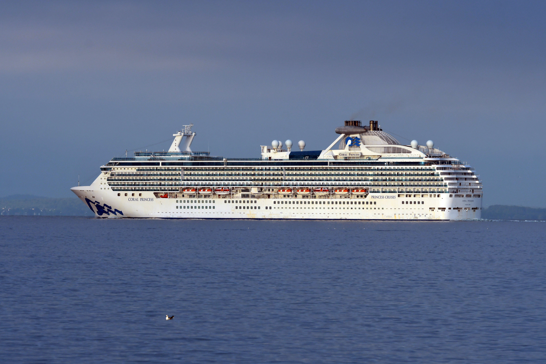 coral-princess7