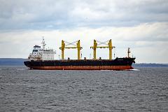 dd-vigilant1