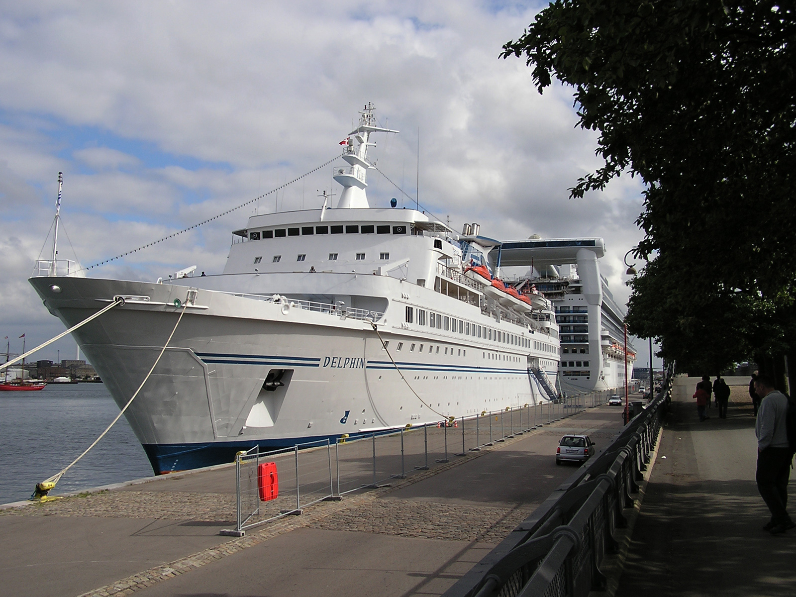 delphin1