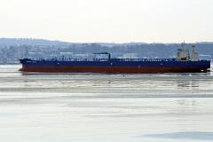 minerva-sophia2