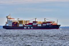 msc-amy1
