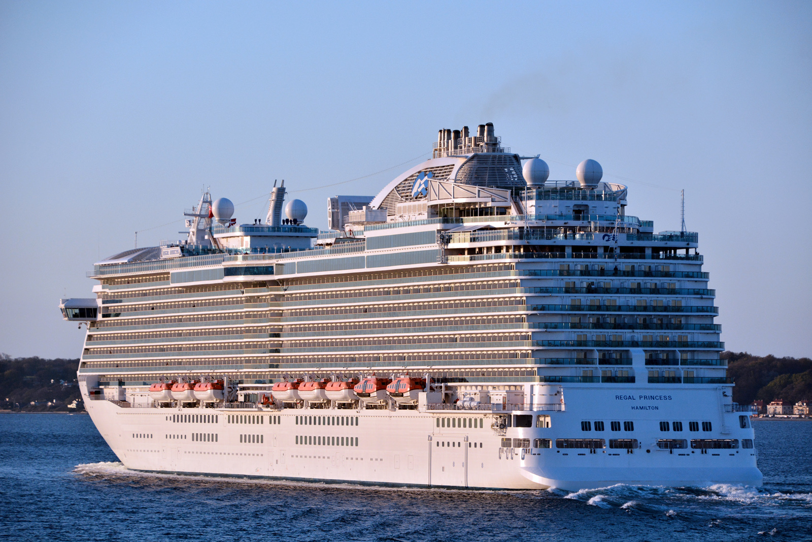 regal-princess10