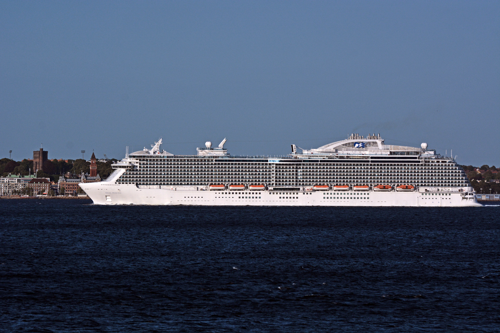 regal-princess16