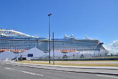 royal-princess27