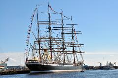 sedov1