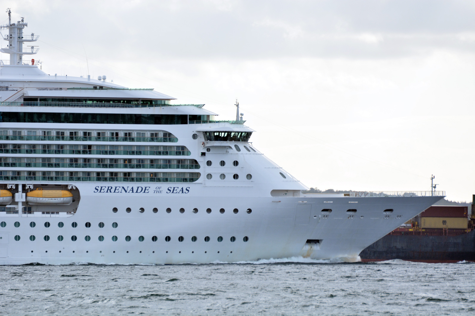 serenade-of-the-seas3