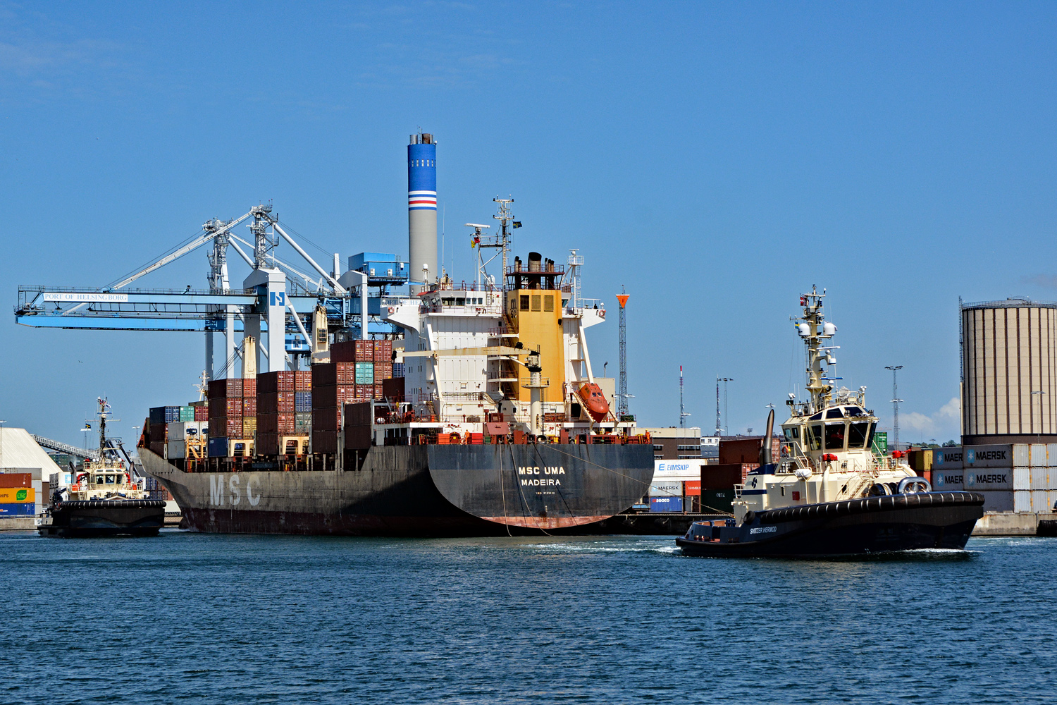 svitzer-hermod4