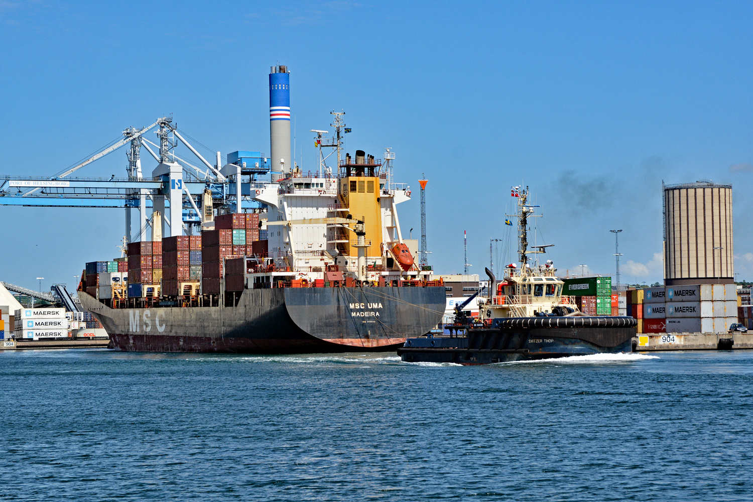 svitzer-thor1