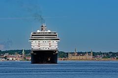 zuiderdam9